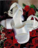 c-bride'shoes